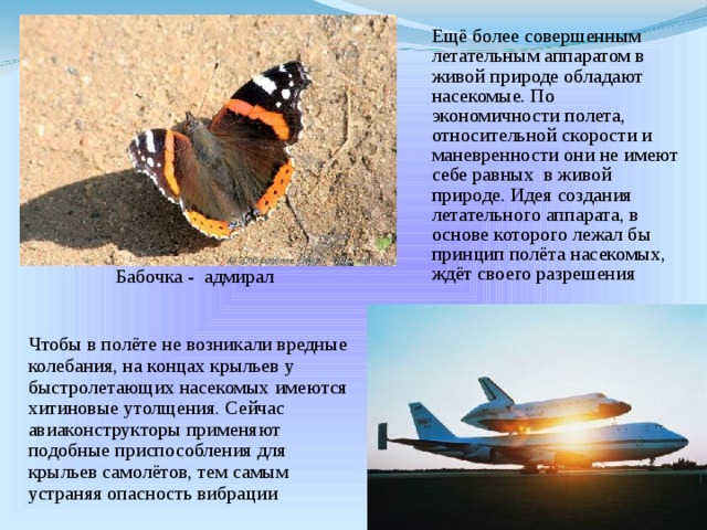  Ещё более совершенным летательным аппаратом в живой природе обладают насекомые. По экономичности полета, относительной скорости и маневренности они не имеют себе равных в живой природе. Идея создания летательного аппарата, в основе которого лежал бы принцип полёта насекомых, ждёт своего разрешения Бабочка - адмирал  Чтобы в полёте не возникали вредные колебания, на концах крыльев у быстролетающих насекомых имеются хитиновые утолщения. Сейчас авиаконструкторы применяют подобные приспособления для крыльев самолётов, тем самым устраняя опасность вибрации 