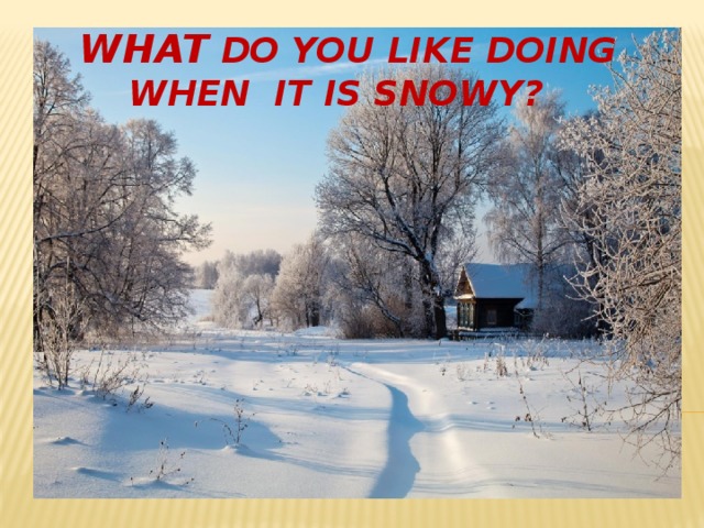 What do you like doing  when it is snowy? 