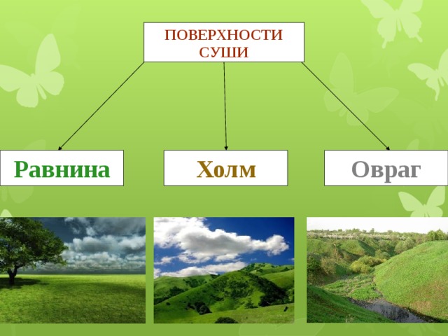 Форма поверхности