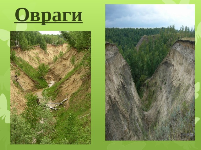 Овраги 