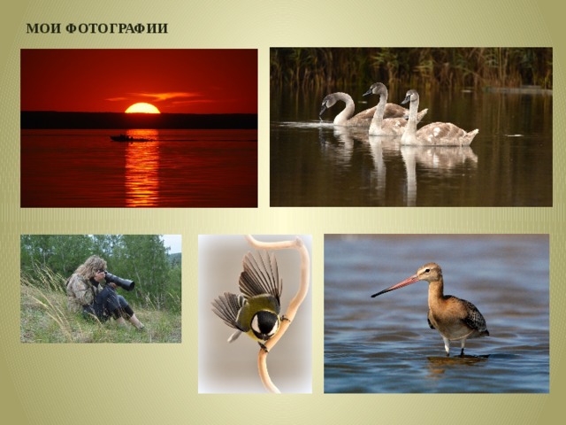 МОИ ФОТОГРАФИИ 