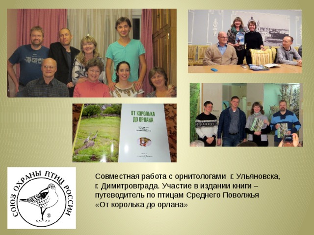 Совместная работа с орнитологами г. Ульяновска, г. Димитровграда. Участие в издании книги – путеводитель по птицам Среднего Поволжья «От королька до орлана» 