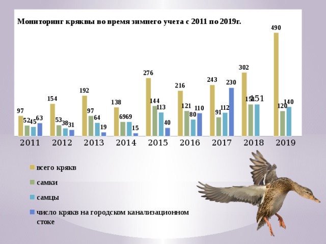 Мониторинг кряквы во время зимнего учета с 2011 по 2019г. 