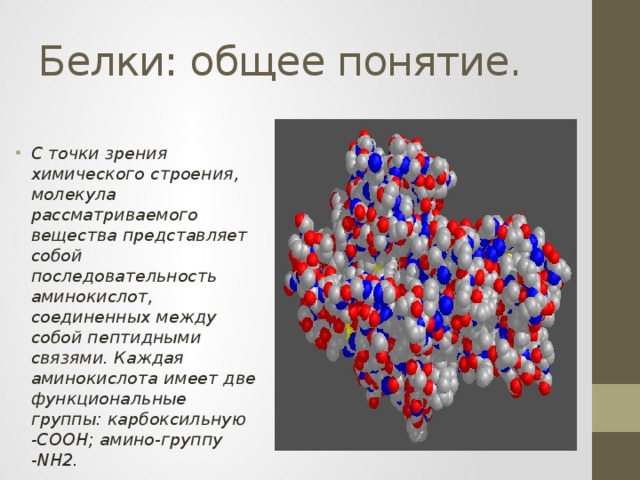 Молекула белка имеет