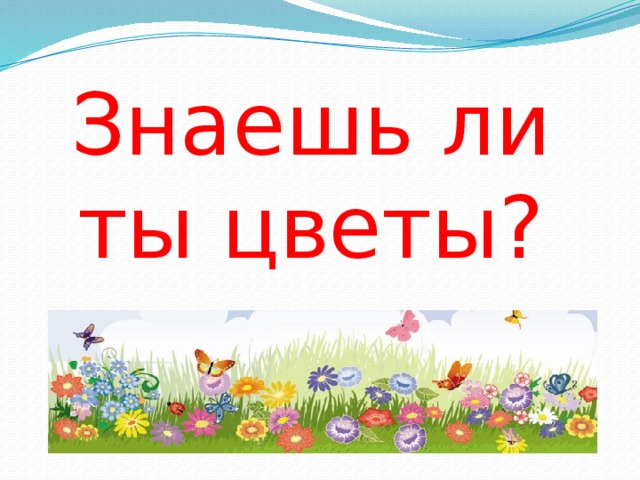 Знаешь ли ты цветы? 