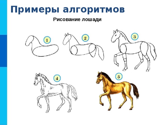 Примеры алгоритмов Рисование лошади  