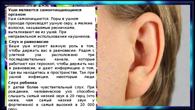 Уши являются самоочищающимся органом Уши самоочищаются. Поры в ушном проходе производят ушную серу, а мелкие волоски, называемые ресничками, выталкивают ее из ушей. При неправильном использовании наушников, можно повредить уши. Слух и равновесие Ваши уши играют важную роль в том, чтобы держать вас в равновесии. Рядом с улиткой уха расположено три последовательных канала, которые работают как гироскоп, чтобы держать нас в равновесии, и дают информацию о том, где вы находитесь в пространстве. Так при ушной инфекции, некоторые люди испытывают трудности с равновесием. Слух ребенка У детей более чувствительный слух. При рождении, человеческое ухо способно слышать самый низкий звук в 20 герц (что ниже, чем самый низкий звук у фортепиано) и самый высокий в 20 000 герц. 