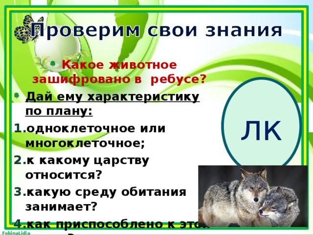 Какое животное зашифровано в ребусе? Дай ему характеристику по плану: одноклеточное или многоклеточное; к какому царству относится? какую среду обитания занимает? как приспособлено к этой среде?  лк  