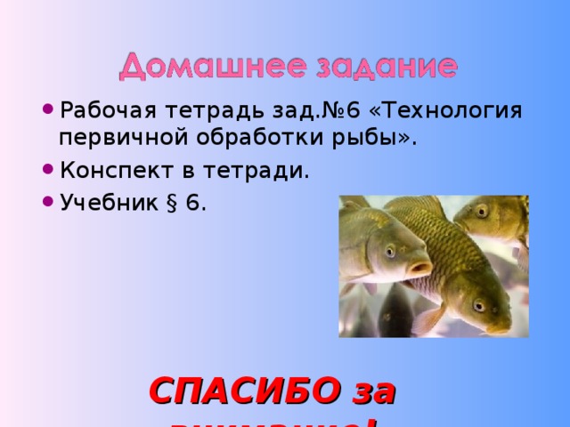 Рыбы конспект. Конспект по рыбам. Технология первичной обработки рыбы рабочая тетрадь. Технология тема рыба конспект. Конспект про рыбу 6 класс технология.