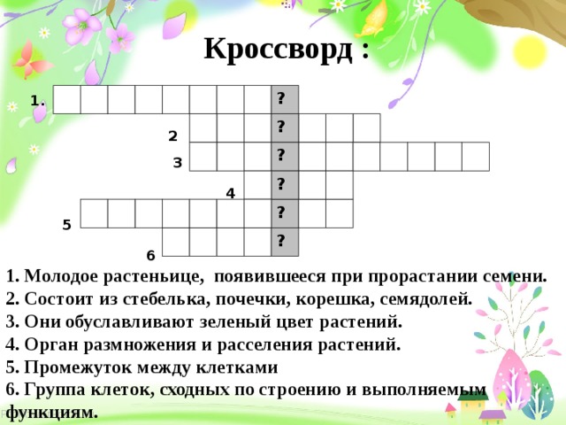 Подготовка кроссворда. Кроссворд на тему прорастание семян. Кроссворд на тему условия прорастания семян. Кроссворд на тему органы растений. Кроссворд на тему размножение растений.