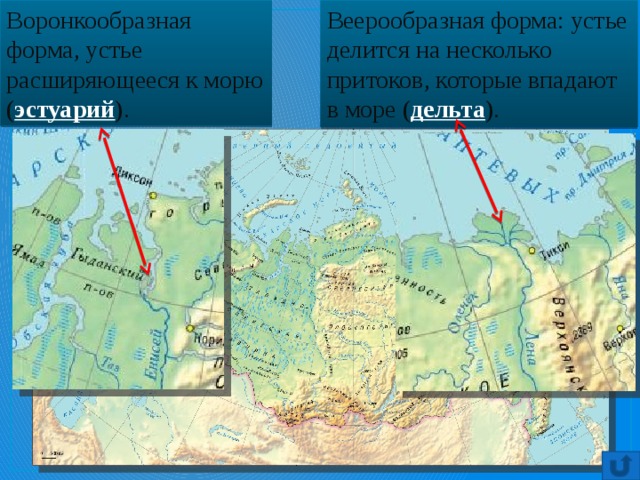 Воронкообразная форма, устье расширяющееся к морю ( эстуарий ). Веерообразная форма: устье делится на несколько притоков, которые впадают в море ( дельта ). 