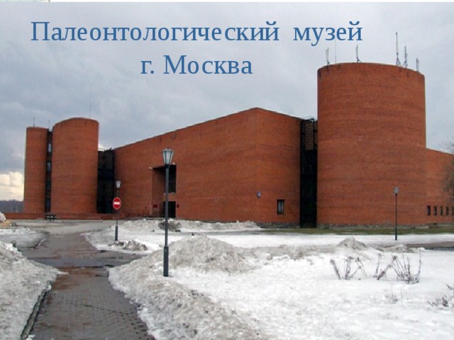 Палеонтологический музей г. Москва 