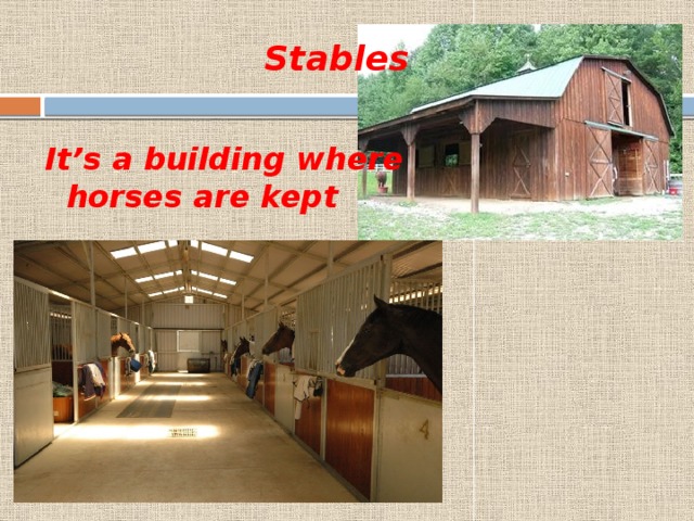 Stables It’s a building where  horses are kept 
