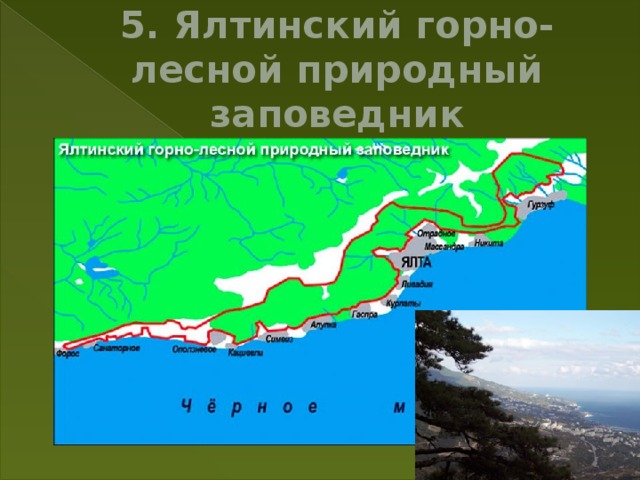 5. Ялтинский горно-лесной природный заповедник 
