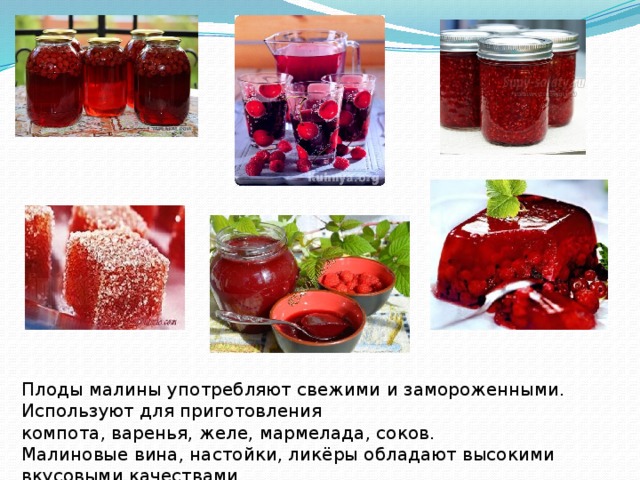 Плоды малины употребляют свежими и замороженными. Используют для приготовления компота, варенья, желе, мармелада, соков. Малиновые вина, настойки, ликёры обладают высокими вкусовыми качествами 