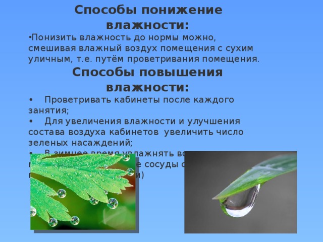 С увеличением влажности дыхание семян усиливается. Низкая влажность воздуха для растений. Меры борьбы с низкой влажностью воздуха в помещениях для животных..