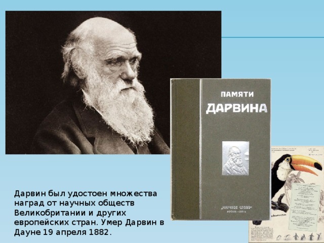Дарвин был удостоен множества наград от научных обществ Великобритании и других европейских стран. Умер Дарвин в Дауне 19 апреля 1882. 