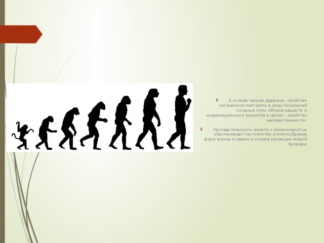 Теория Дарвина 9 класс тест. Тест Дарвина психологический. Десять вопросов на тему Эволюция.