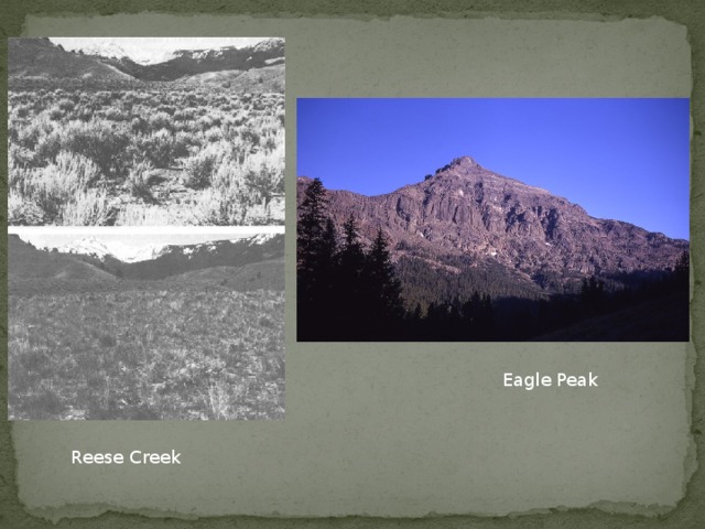 Eagle Peak Reese Creek 