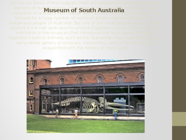 Museum of South Australia On the six floors of the museum there are expositions affecting different aspects of human history. For example, the museum contains a huge collection of artifacts from Papua New Guinea and Oceania. Museum is famous for a huge number of works of artists, representatives of the indigenous people of Australia. But one of the most popular places among visitors is the hall dedicated to ancient Egyptian culture. There is also an exhibition in the museum that introduces the local fauna, including Australia’s extinct animals, such as the Tasmanian tiger. Also here you can see a whole gallery of minerals, meteorites, various fossils, and get acquainted with the history of fossil fuels. 