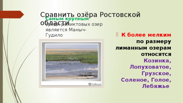 Сравнить озёра Ростовской области Самым крупным среди реликтовых озер является Маныч-Гудило К более мелким по размеру лиманным озерам относятся Козинка, Лопуховатое, Грузское, Соленое, Голое, Лебяжье 