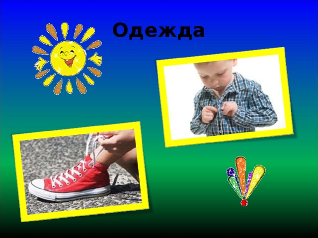 Одежда 