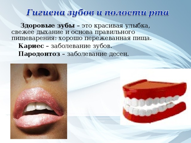 Здоровые зубы – это красивая улыбка, свежее дыхание и основа правильного пищеварения: хорошо пережеванная пища. Кариес – заболевание зубов. Пародонтоз – заболевание десен. 