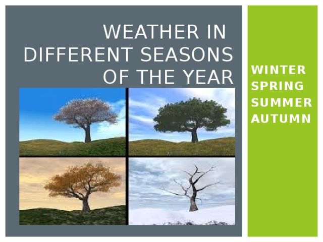 WEATHER IN DIFFERENT SEASONS OF THE YEAR WINTER SPRING SUMMER AUTUMN 