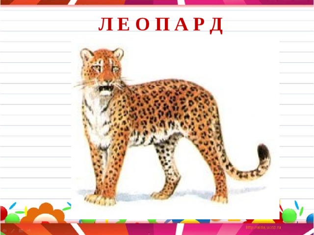 Л Е О П А Р Д 