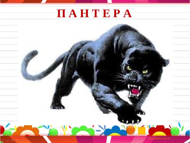 П А Н Т Е Р А 