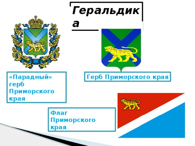 Флаг приморского края картинки