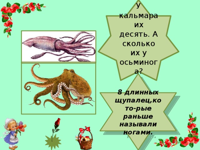 У кальмара их десять. А сколько их у осьминога? 8 длинных щупалец,кото-рые раньше называли ногами.