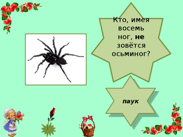 Кто, имея восемь ног, не зовётся осьминог?   паук