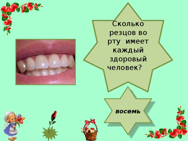 Сколько резцов во рту имеет каждый здоровый человек?   восемь