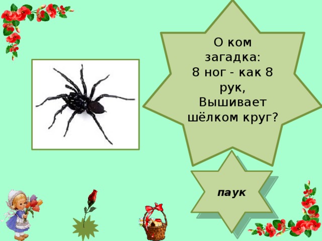 О ком загадка: 8 ног - как 8 рук, Вышивает шёлком круг? паук