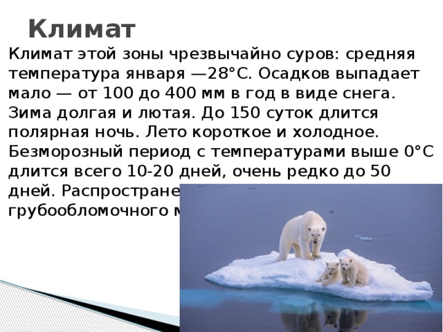 Климат Климат этой зоны чрезвычайно суров: средняя температура января —28°С. Осадков выпадает мало — от 100 до 400 мм в год в виде снега. Зима долгая и лютая. До 150 суток длится полярная ночь. Лето короткое и холодное. Безморозный период с температурами выше 0°С длится всего 10-20 дней, очень редко до 50 дней. Распространены россыпи грубообломочного материала. 