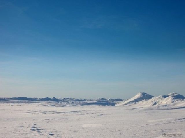 Арктическая пустыня