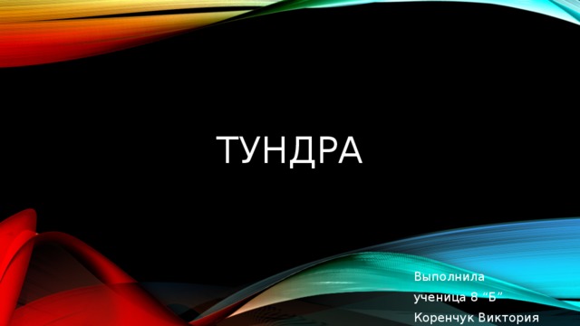 тундра Выполнила ученица 8 “Б” Коренчук Виктория