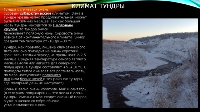 Климат Тундры Тундра отличается очень суровым  субарктическим климатом. Зима в тундре чрезвычайно продолжительная: может быть 8–9 зимних месяцев. Так как большая часть тундры находится за  Полярным кругом , то тундра зимой переживает полярную ночь. Суровость зимы зависит от континентального климата. Зимой средняя температура от -10 до −30 °C. Тундра, как правило, лишена климатического лета или оно приходит на очень короткий срок: весь тёплый период не превышает 2–2,5 месяца. Средняя температура самого тёплого месяца (июля или августа для северного полушария) в тундре составляет +5..+10 °C. С приходом тепла оживает вся растительность, по мере наступления  полярного дня  (или  белых ночей  в тех районах тундры, где полярный день не наступает). Осень и весна очень короткие. Май и сентябрь (в северном полушарии) — это весна и осень тундры. Именно в мае сходит снежный покров, а уже в начале октября обычно устанавливается снова.