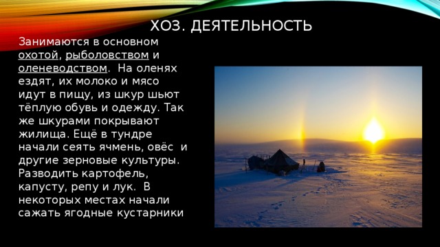 Хоз. Деятельность Занимаются в основном охотой , рыболовством и оленеводством . На оленях ездят, их молоко и мясо идут в пищу, из шкур шьют тёплую обувь и одежду. Так же шкурами покрывают жилища. Ещё в тундре начали сеять ячмень, овёс и другие зерновые культуры. Разводить картофель, капусту, репу и лук. В некоторых местах начали сажать ягодные кустарники