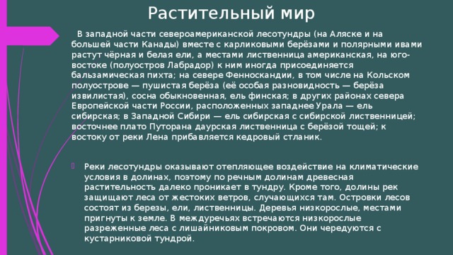 Растительный мир  В западной части североамериканской лесотундры (на Аляске и на большей части Канады) вместе с карликовыми берёзами и полярными ивами растут чёрная и белая ели, а местами лиственница американская, на юго-востоке (полуостров Лабрадор) к ним иногда присоединяется бальзамическая пихта; на севере Фенноскандии, в том числе на Кольском полуострове — пушистая берёза (её особая разновидность — берёза извилистая), сосна обыкновенная, ель финская; в других районах севера Европейской части России, расположенных западнее Урала — ель сибирская; в Западной Сибири — ель сибирская с сибирской лиственницей; восточнее плато Путорана даурская лиственница с берёзой тощей; к востоку от реки Лена прибавляется кедровый стланик.