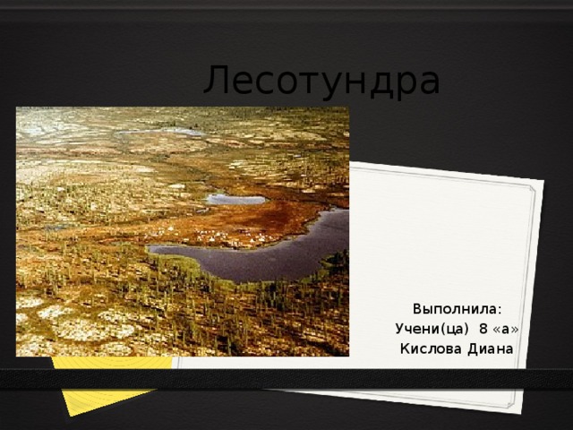 Лесотундра Выполнила: Учени(ца) 8 «а» Кислова Диана