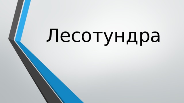 Лесотундра