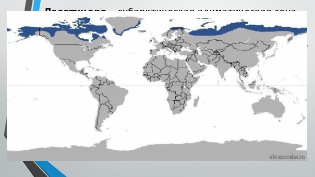 Лесотундра – субарктическая климатическая зона, протянувшаяся неоднородной полосой по границе с тундрой вдоль северной оконечности материка Евразия. Среди природных зон России Тундра занимает особое место, расположившись на территориях:  Кольского полуострова Урала; Камчатки;  островов северных морей : Вайгач, остров Врангеля, Новосибирские острова.  Фактически эта природная зона занимает 13% от всей территории России Географическое положение: протяженность зоны с севера на юг сравнительна не велика - от 20 до 200 км. Подобно этой зоне лесотундра располагается в основном севернее полярного круга.