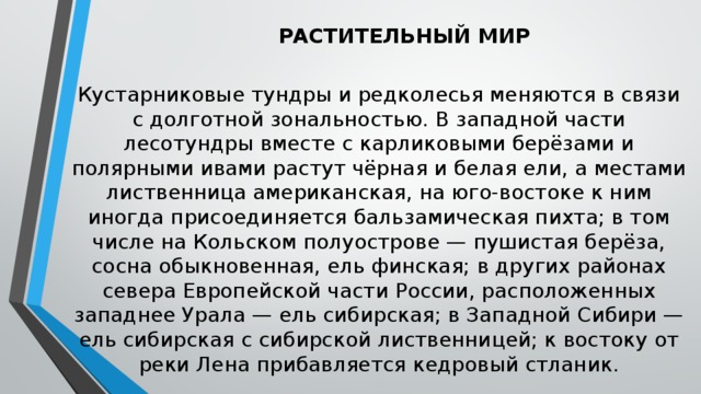 РАСТИТЕЛЬНЫЙ МИР Кустарниковые тундры и редколесья меняются в связи с долготной зональностью. В западной части лесотундры вместе с карликовыми берёзами и полярными ивами растут чёрная и белая ели, а местами лиственница американская, на юго-востоке к ним иногда присоединяется бальзамическая пихта; в том числе на Кольском полуострове — пушистая берёза, сосна обыкновенная, ель финская; в других районах севера Европейской части России, расположенных западнее Урала — ель сибирская; в Западной Сибири — ель сибирская с сибирской лиственницей; к востоку от реки Лена прибавляется кедровый стланик.