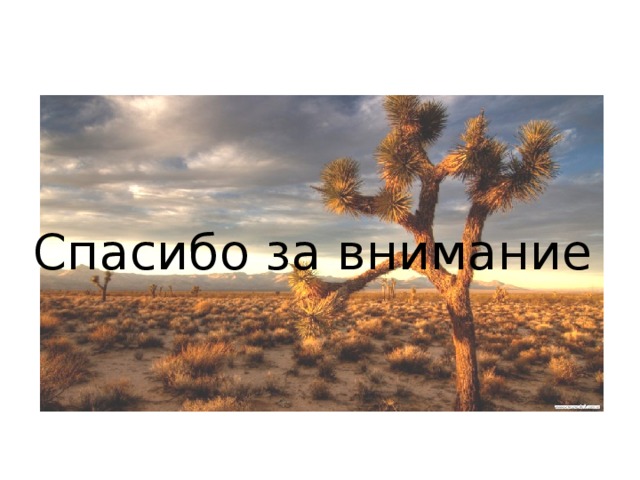 Спасибо за внимание