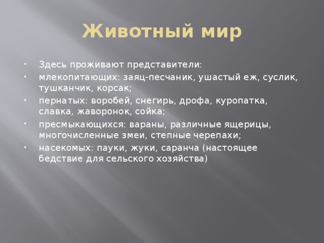 Животный мир