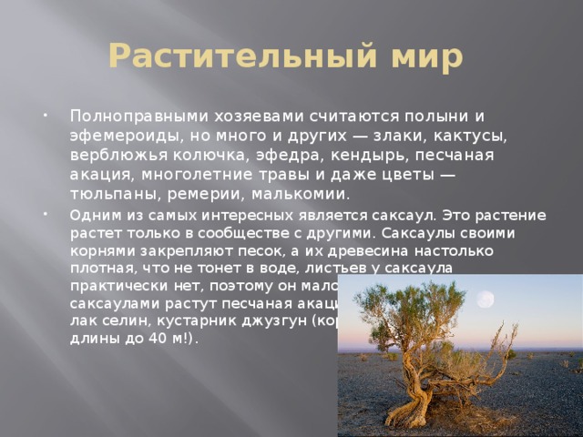 Растительный мир