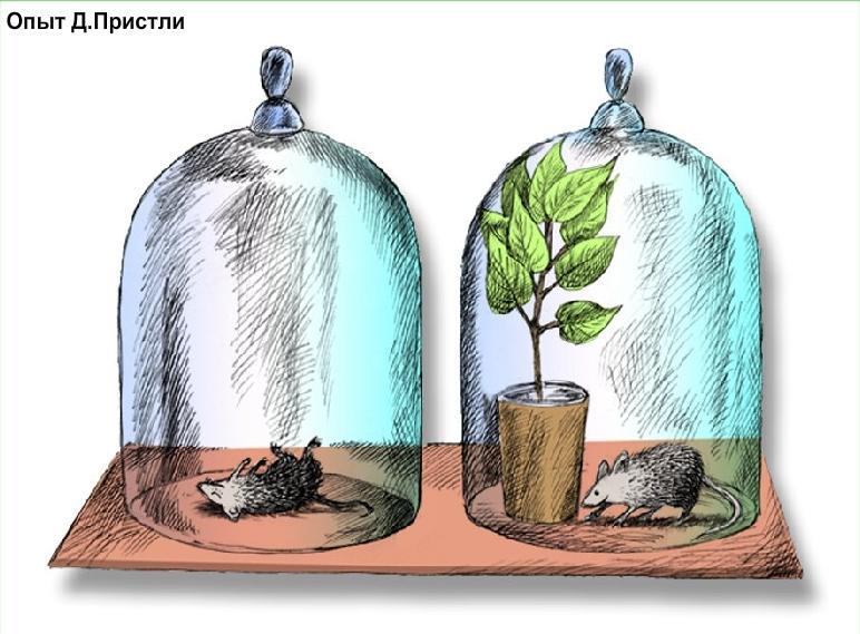 СТАТИСТИЧЕСКИЕ МЕТОДЫ В УПРАВЛЕНИИ КАЧЕСТВОМ o o o