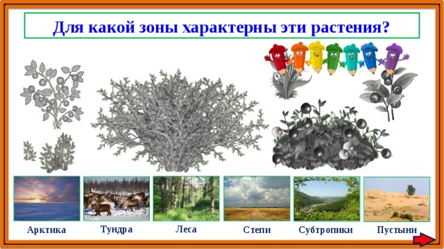 Какие растения характерны для пустынь